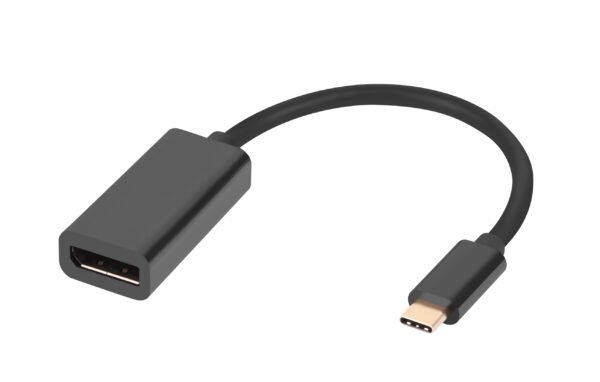 8K USB-C Male to DisplayPort Female Adapter Cable